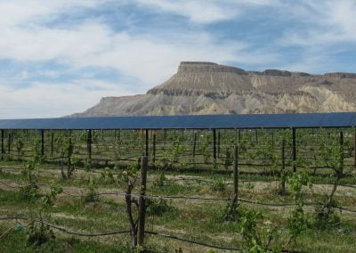 Summit Cellars- East Orchard Mesa- High Noon Solar Commercial